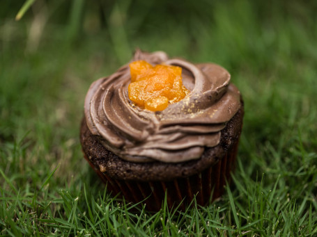 Sacher Cupcake