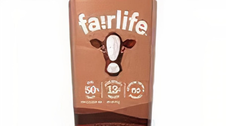 Bf-Chocolate Milk