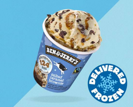 Ben Jerry's Moophoria Salted Caramel Brownie