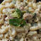 Macroni In White Sauce