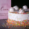 Eggless Vanilla Sprinkles Cake