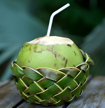 Tender Coconut Kobbari Bondam