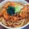 Vegetable Kakiage Udon