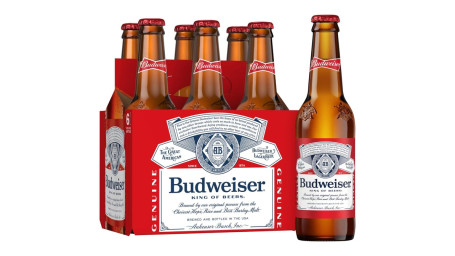 Bouteille Budweiser 6Ct 12Oz