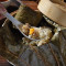 Gàn Bèi Hé Yè Nuò Mǐ Jī Glutinous Rice With Scallop And Chicken Wrapped In Lotus Leaf