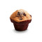 Muffin Myrtille