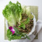 Larb Neua : Minced Meat Salad