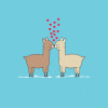 Alpaca Kisses