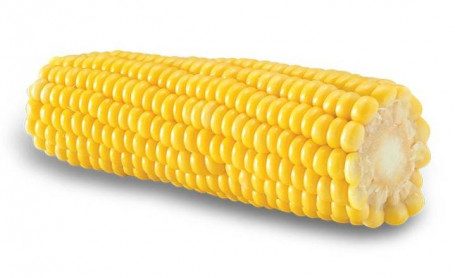 Large Corn On Cob