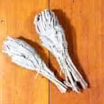 Sage Bundle (Small)