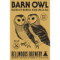 Barn Owl (No. 16)