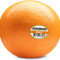 Loose Orange