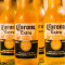 Seau De Corona (5 Bières)