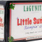 Lagunitas Little Sumpin Ale 6Pk Cans