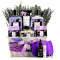 Aromatherapy Lavender Lilac SPA Gift Set