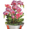 Paper Bouquet Orchid Oasis
