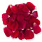 Fresh Red Roses Petals