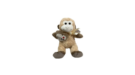 Monky Teddy