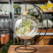 Hanging Airplant Globe