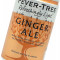 Fever Tree Light Ginger Ale (8 canettes de 150 ml)