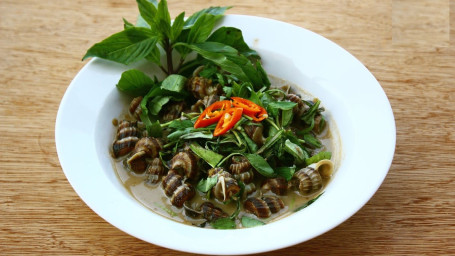 9. Stir Fried Snail With Coconut Milk