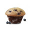 Muffin Aux Bleuets <Intraduisible>[430.0 Cal]</Untraduisible>