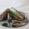Mussels With Thai Herbs (1Lb)