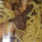 Ps2. Beef Pan Fried Noodles