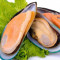 Green Mussels 10 Pcs.