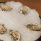 A6. Raw Oyster (6)
