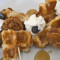 Waffle, Chicken, Kebobs?