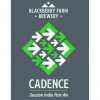 2. Cadence Session IPA