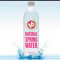 16 Handles Water (1 Liter)