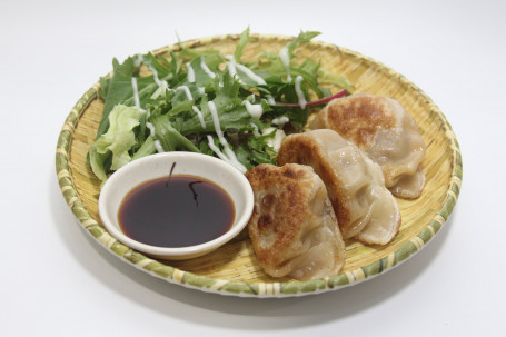 Y11 Pan Fried Pork Dumplings