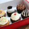 6 Pieces Regular Cupcakes Box Set