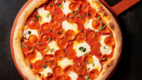 16 Pepperoni Napoli Pizza