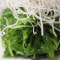 S2. Salade D'algues