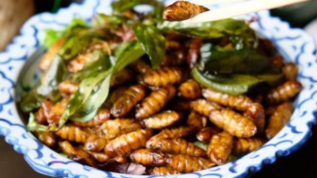 Fried Silkworms