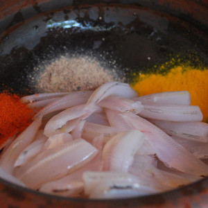 Calamars