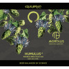 Humulus²