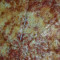 1. Cheese Pie Pizza