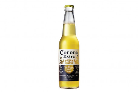 Corona Beer Bottle x12