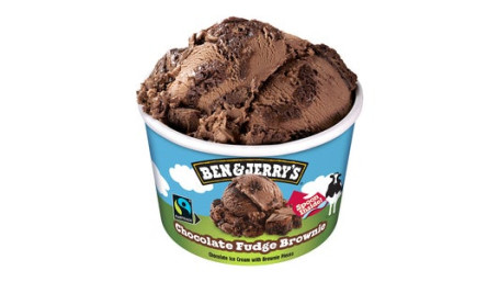 Chocolate Fudge Brownie Ben Jerrys 100Ml