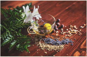 Tisane