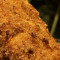 Homemade Cheese Croquettes (2)