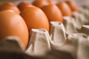 Deux Oeufs