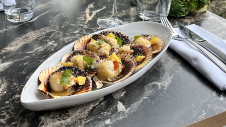 Petites Coquilles De Noix De Saint Jacques Gratinées Au Beurre D'agrumes