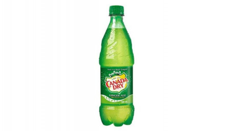 Ginger Ale 500Ml Bottle