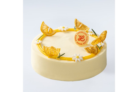 Huàn Rán Yī Xīn Yòu Zi Ruǎn Zhī Shì Dàn Gāo (7Cùn Refreshing Mind Yuzu Cheese Cake (7 Inch