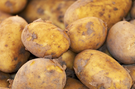 Bouchées De Pommes De Terre Au Fromage